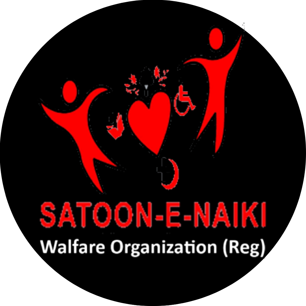 Satoon e Naiki Welfare Organization 